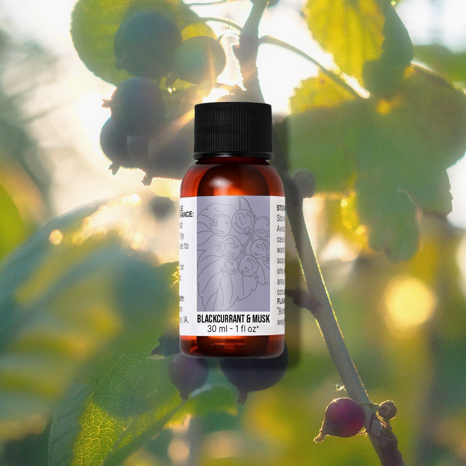 Blackcurrant & Musk