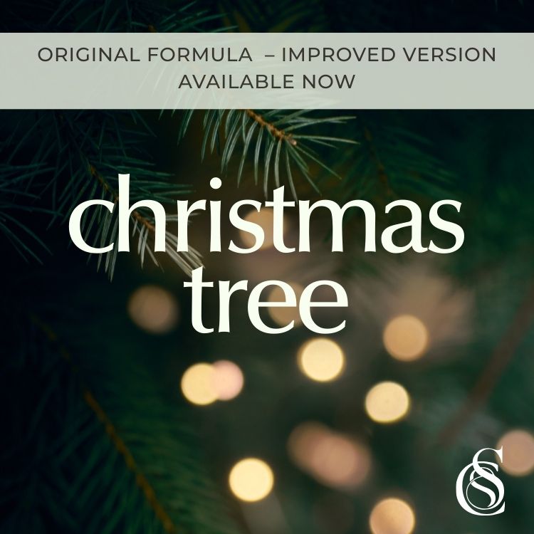 Christmas Tree Fragrance Oil *Original*