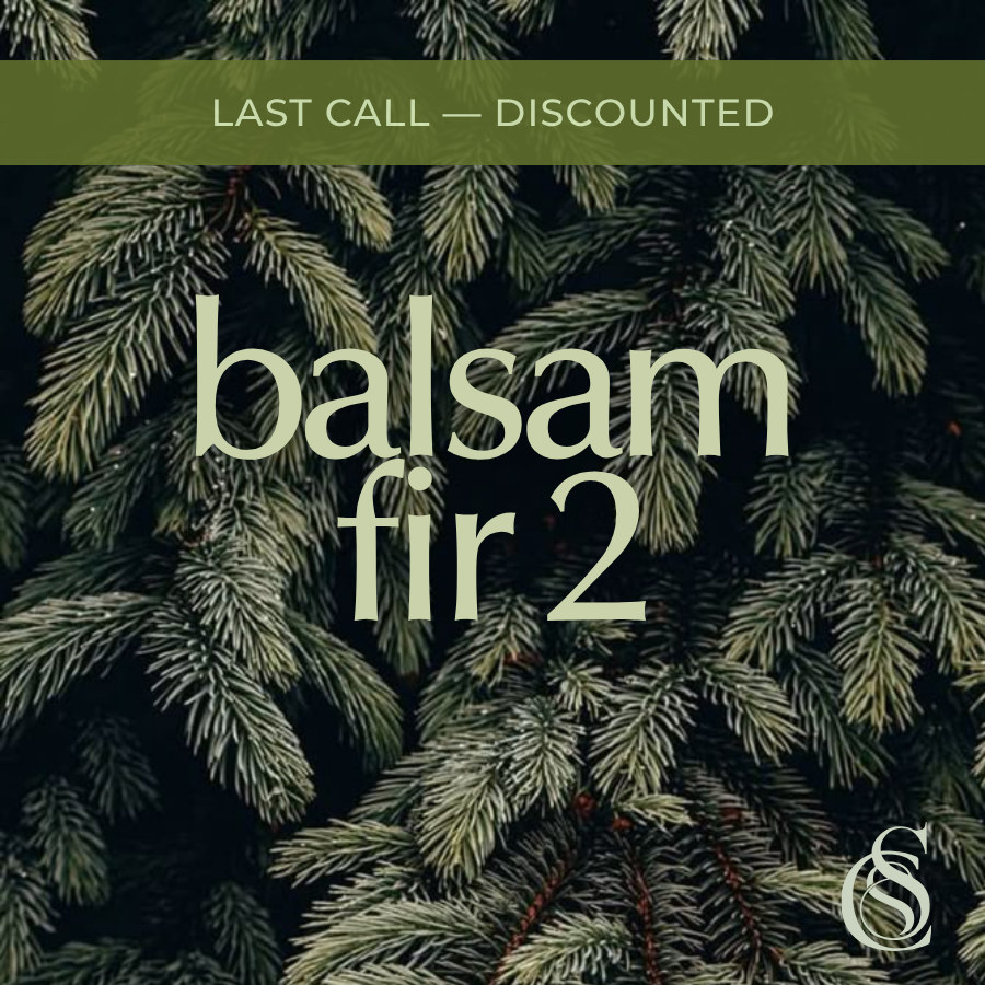 Balsam Fir Fragrance Oil Version 2