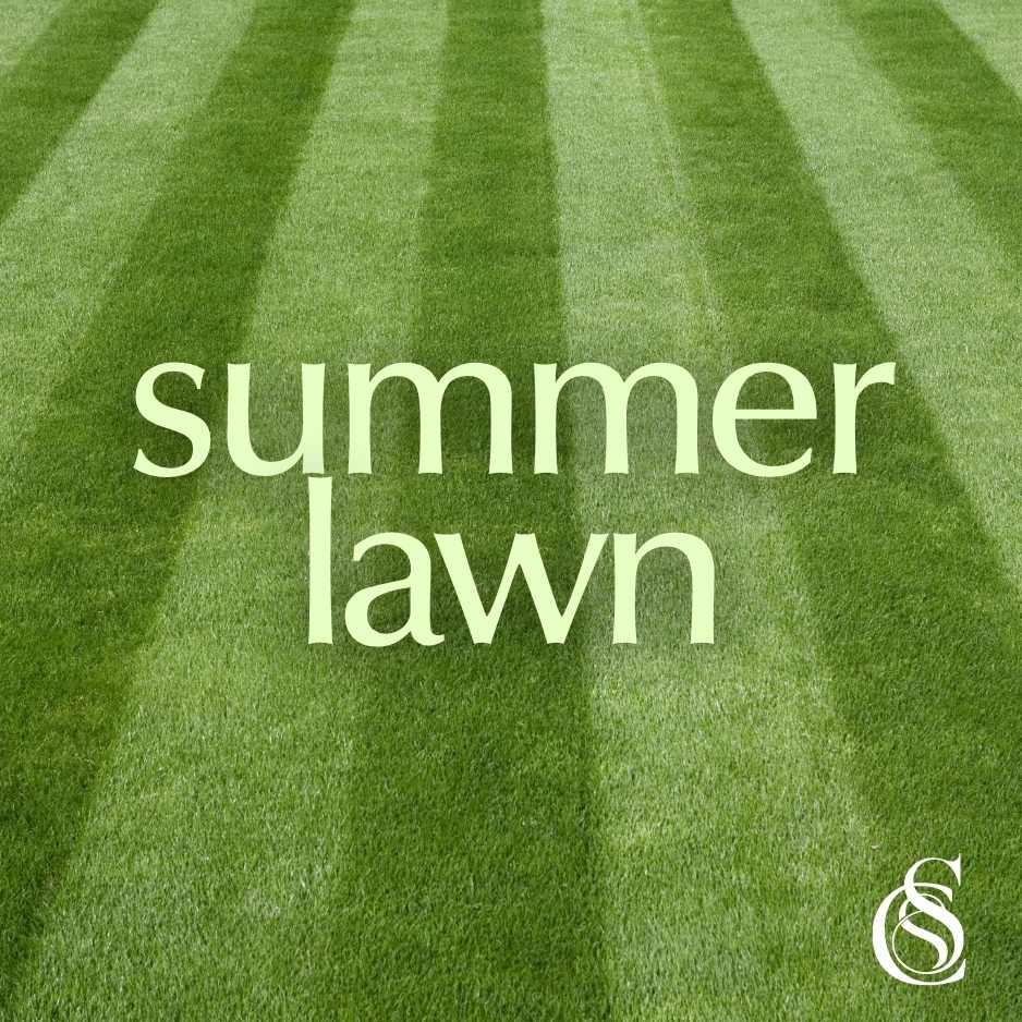 Summer Lawn Fragrance Oil