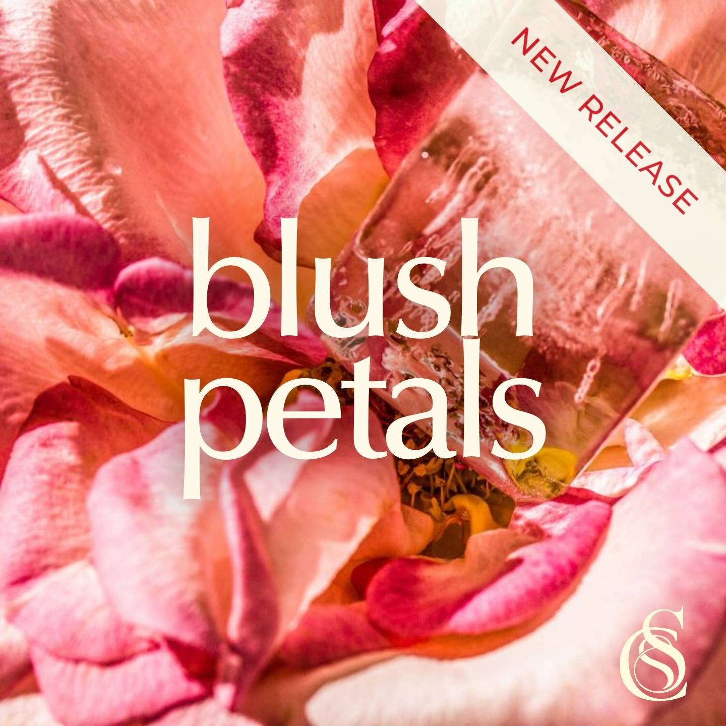 Blush Petals Fragrance Oil