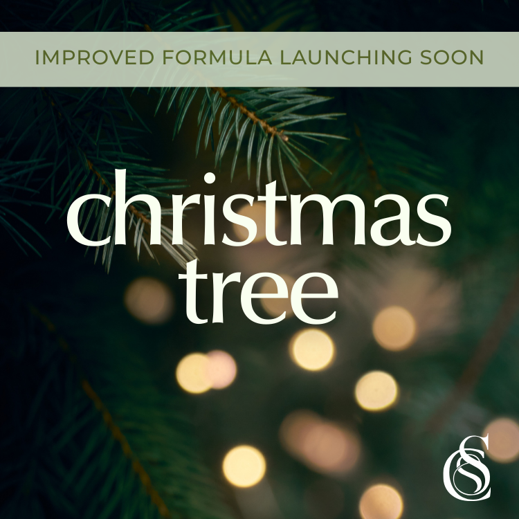 Christmas Tree Fragrance Oil