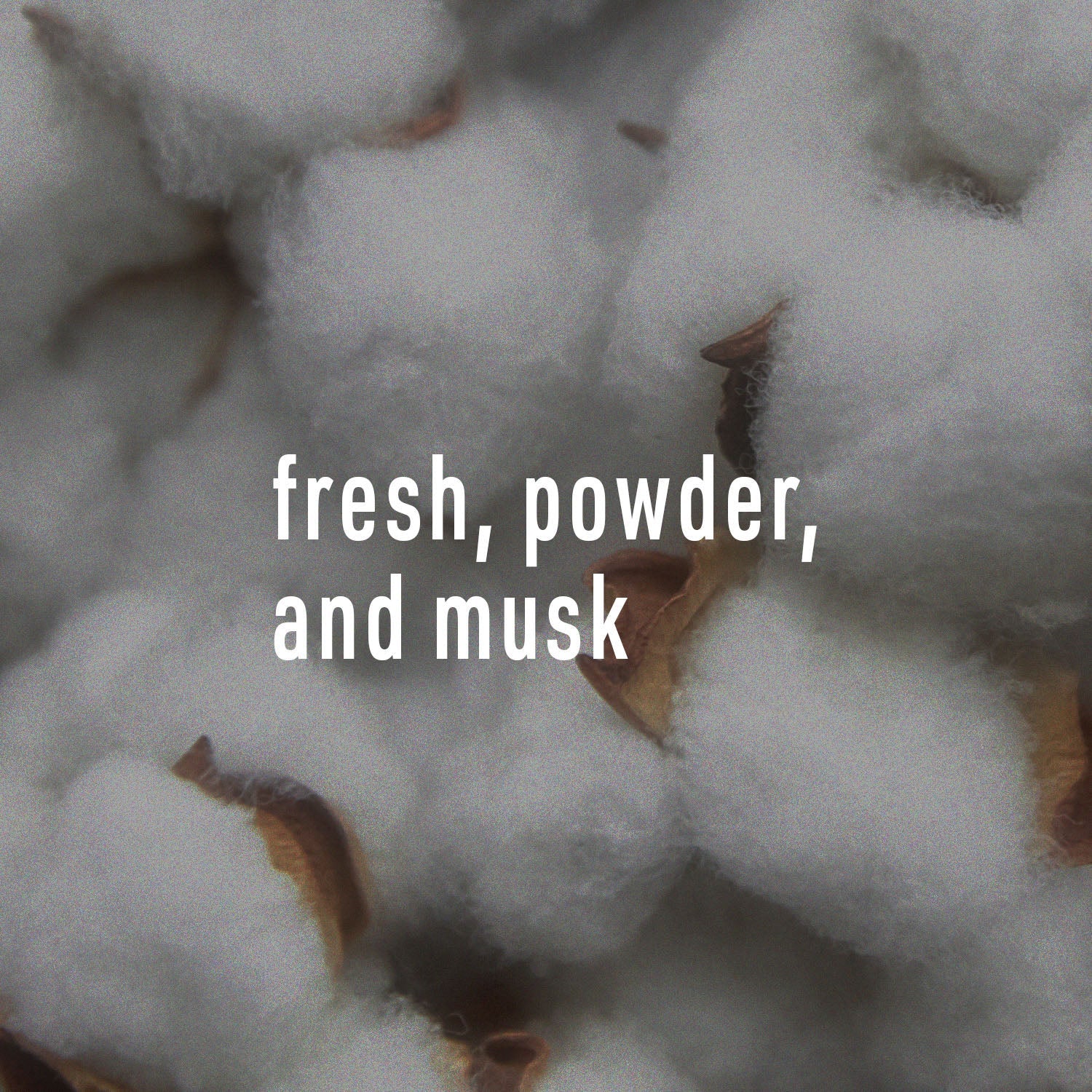 Cotton Blossom Scented Soy Beads