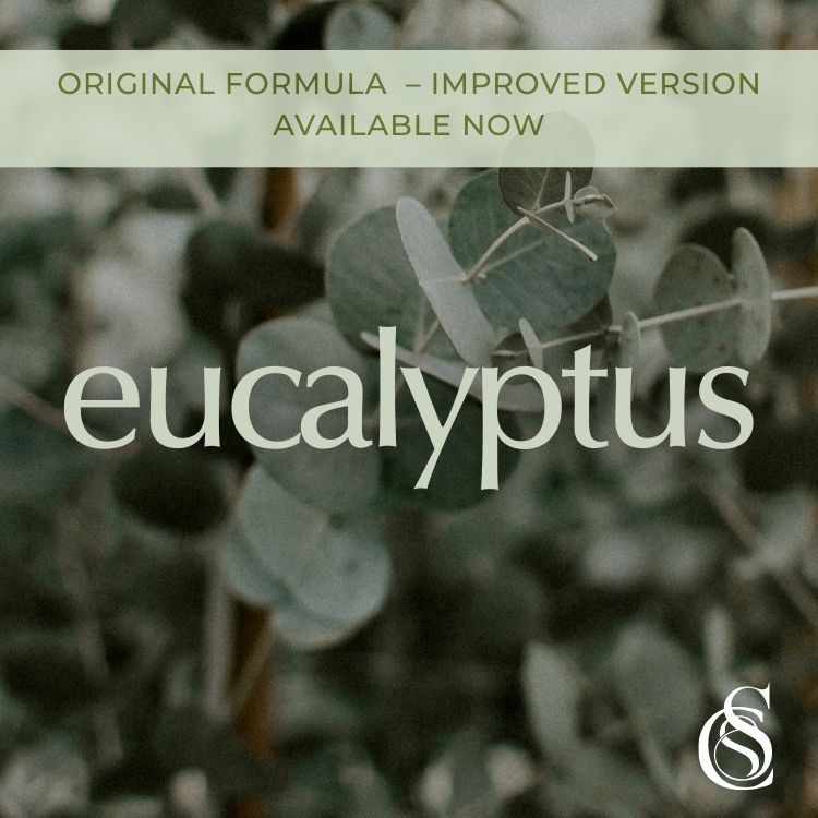 Eucalyptus Fragrance Oil *Original*