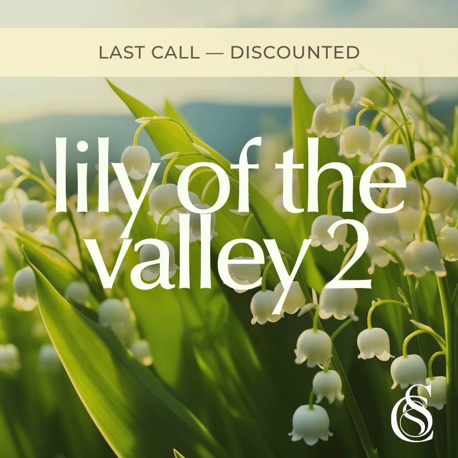 Lily Of The Valley Fragrance Oil Version 2