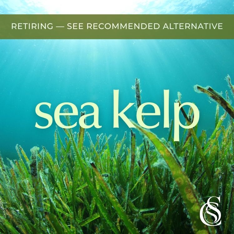 Sea Kelp Fragrance Oil