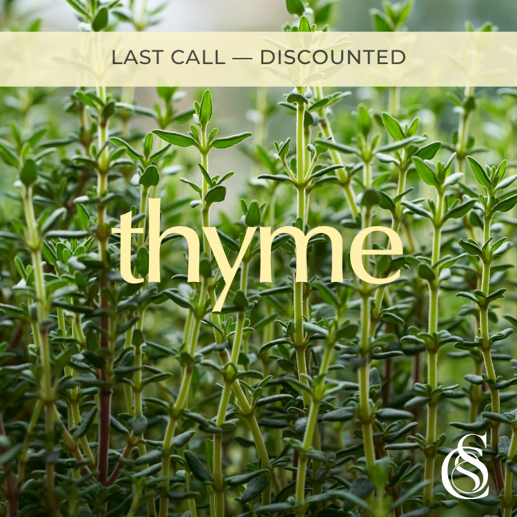 Thyme Fragrance Oil