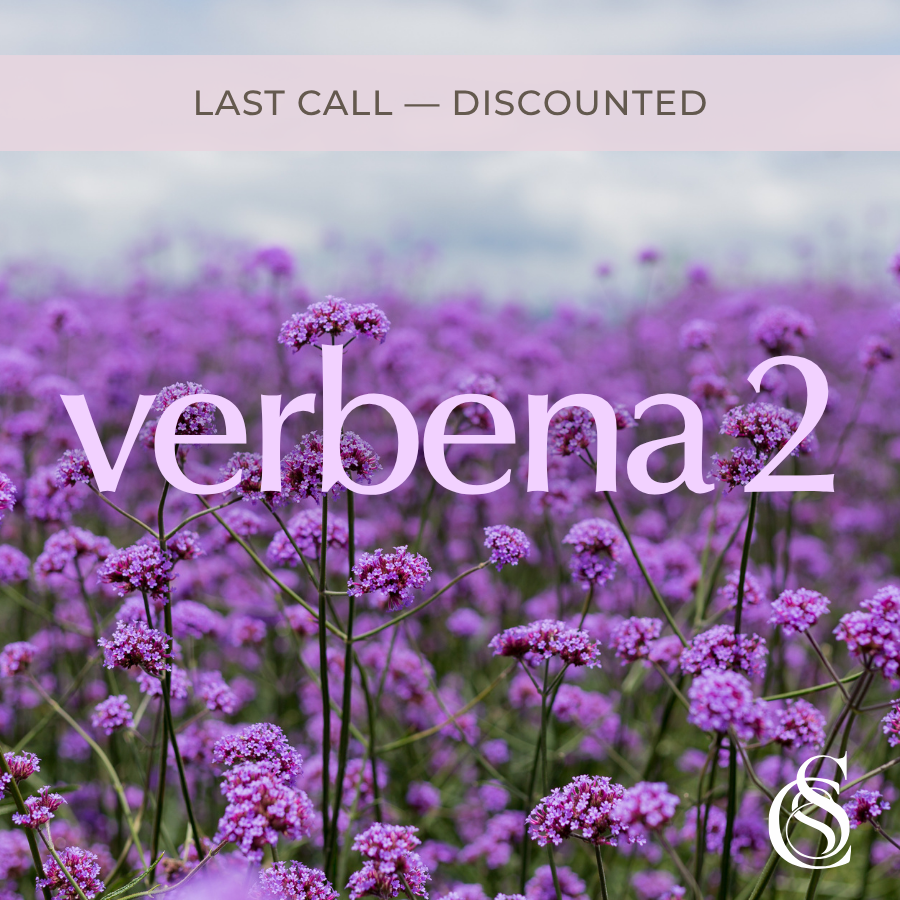 Verbena Fragrance Oil Version 2