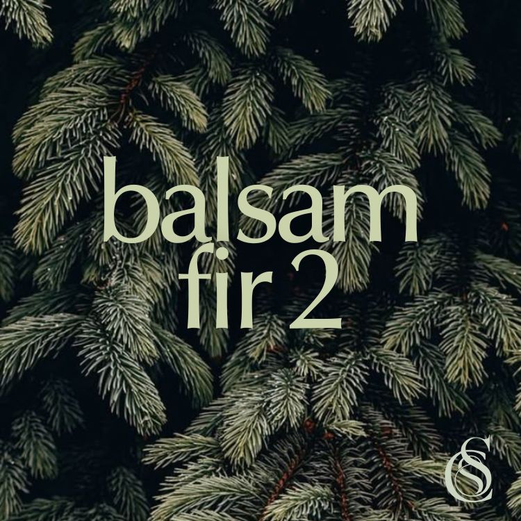 Balsam Fir Fragrance Oil Version 2