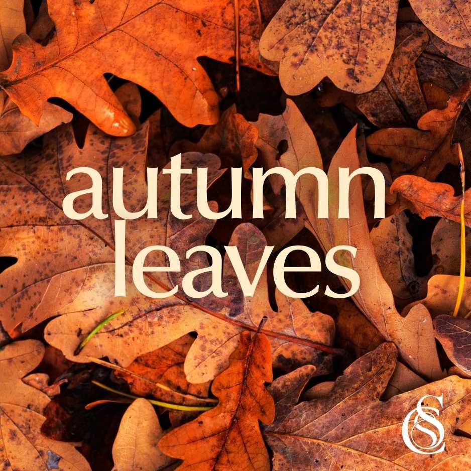 Autumn Leaves Fragrance Oil