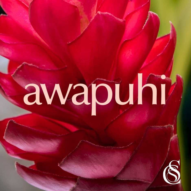 Awapuhi Fragrance Oil