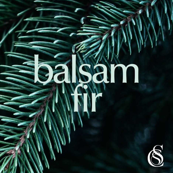 Balsam Fir Fragrance Oil