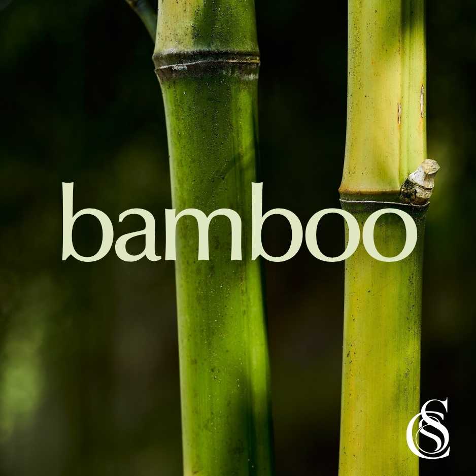 Bamboo Fragrance Oil