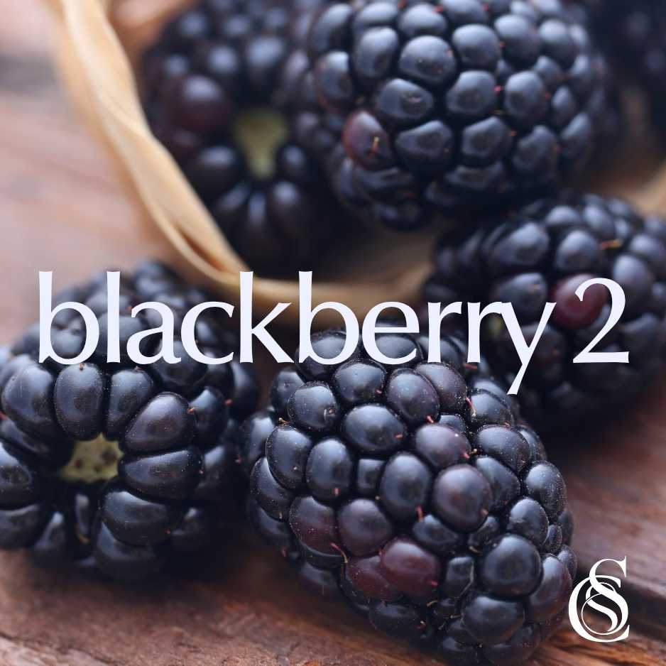 Blackberry Fragrance Oil Version 2