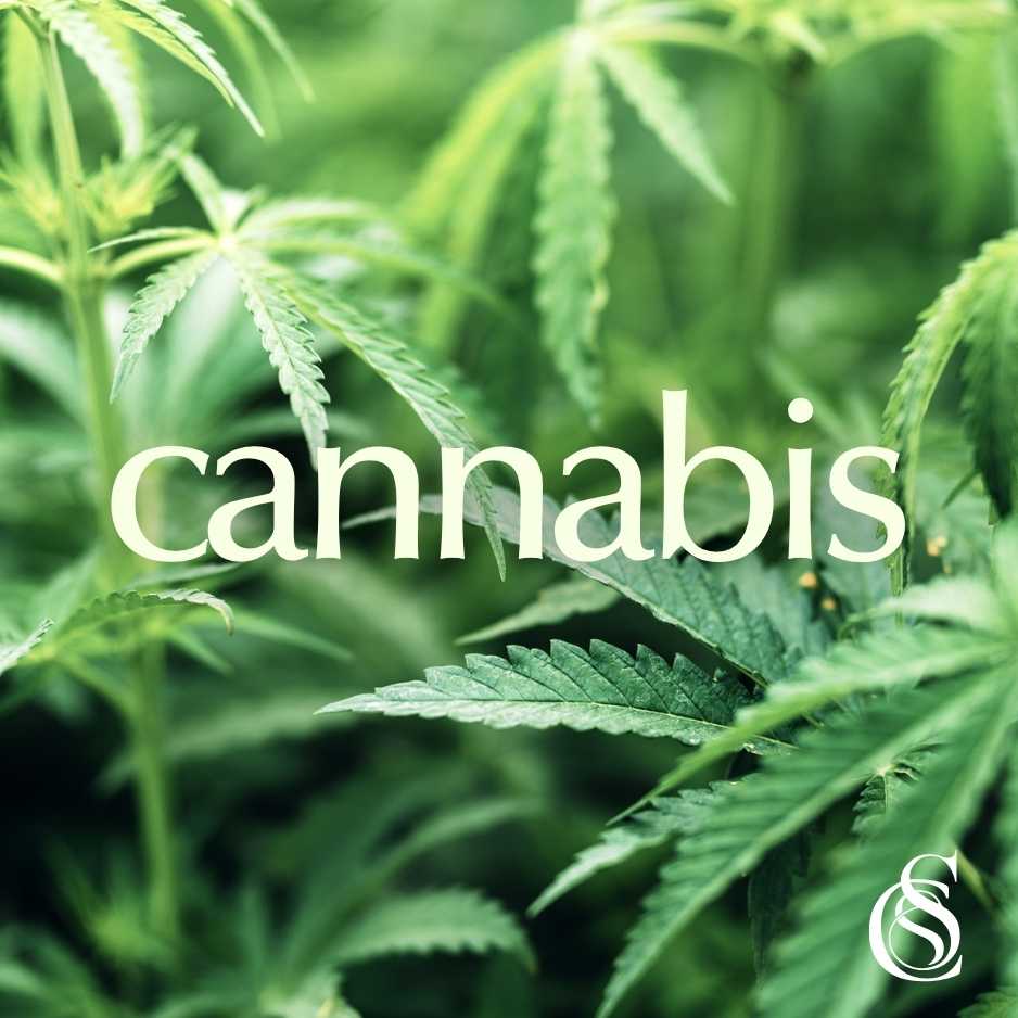 Cannabis Fragrance Oil