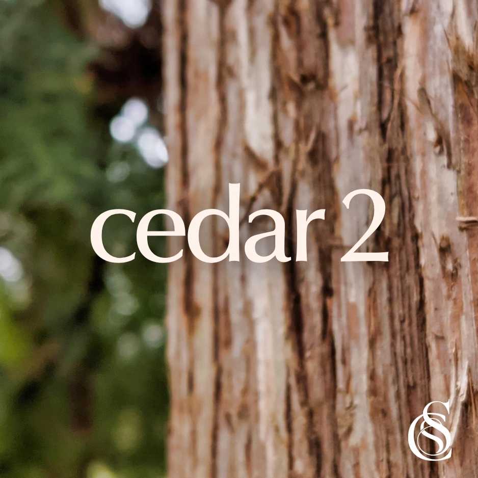 Cedar Fragrance Oil Version 2