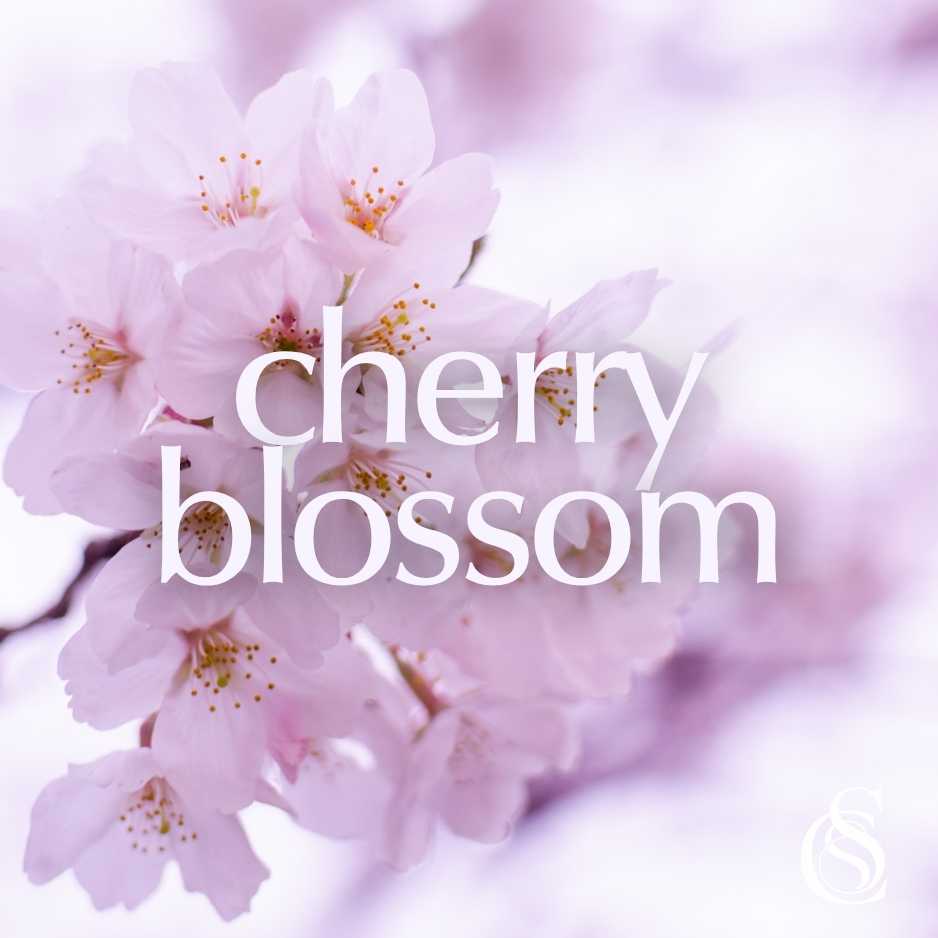 Cherry Blossom Fragrance Oil