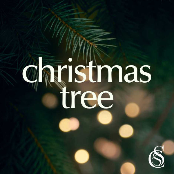 Christmas Tree Fragrance Oil