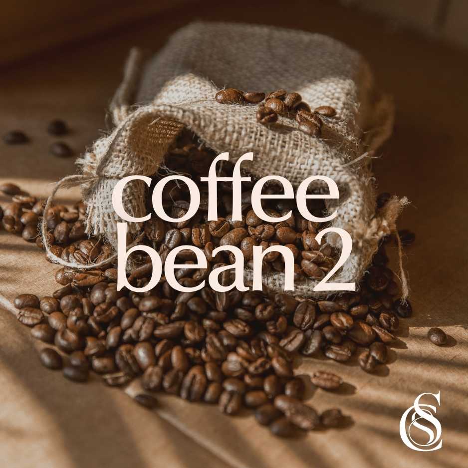 Coffee Bean Fragrance Oil Version 2