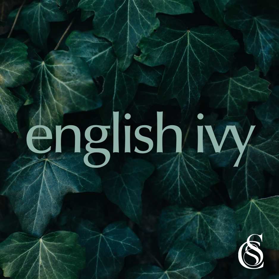 English Ivy Fragrance Oil