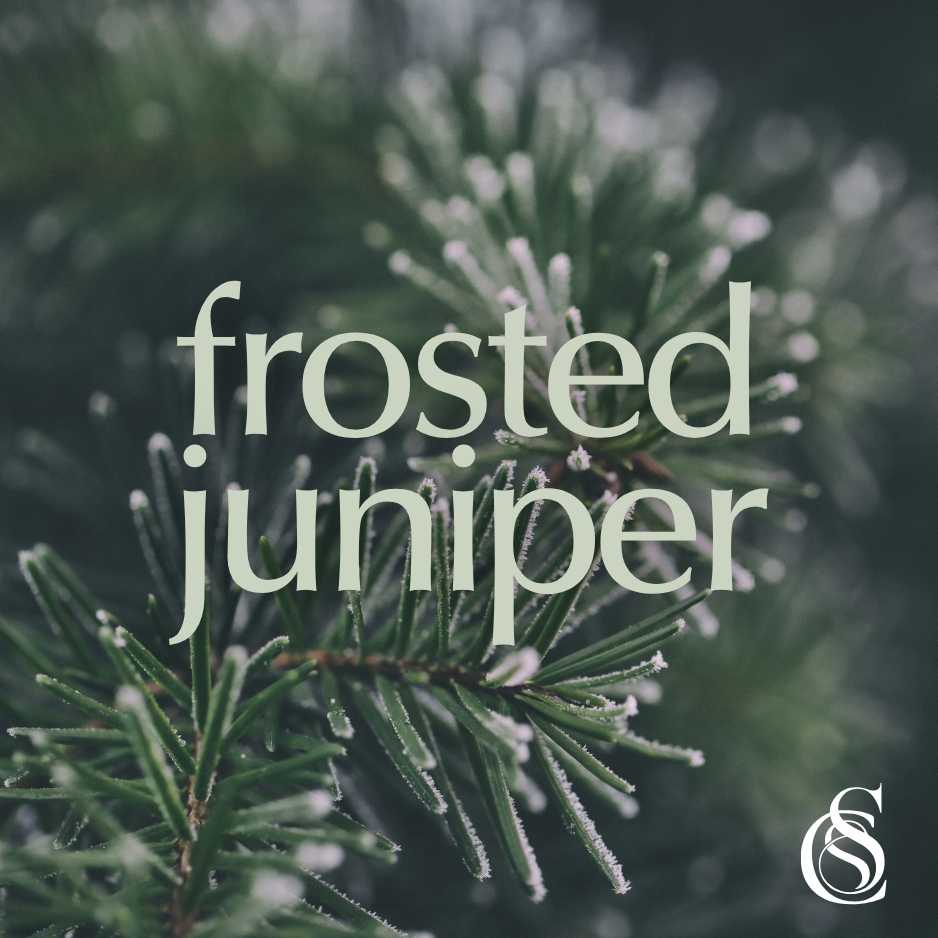 Frosted Juniper Fragrance Oil