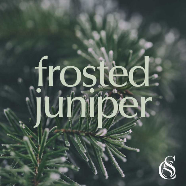 Frosted Juniper Fragrance Oil