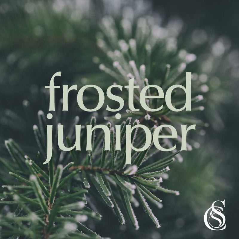 Frosted Juniper Fragrance Oil