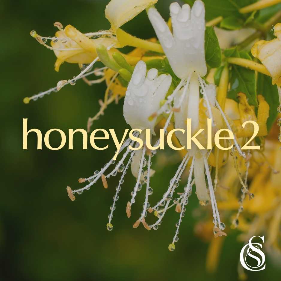 Honeysuckle Fragrance Oil Version 2