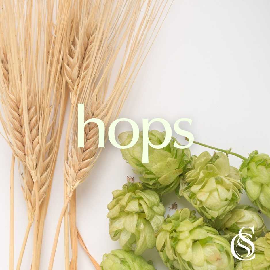 Hops Fragrance Oil