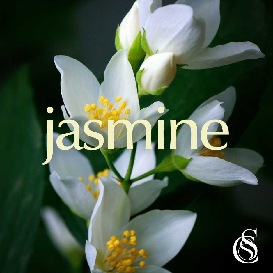 Jasmine Fragrance Oil