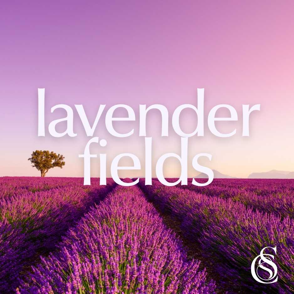 Lavender Fields Fragrance Oil