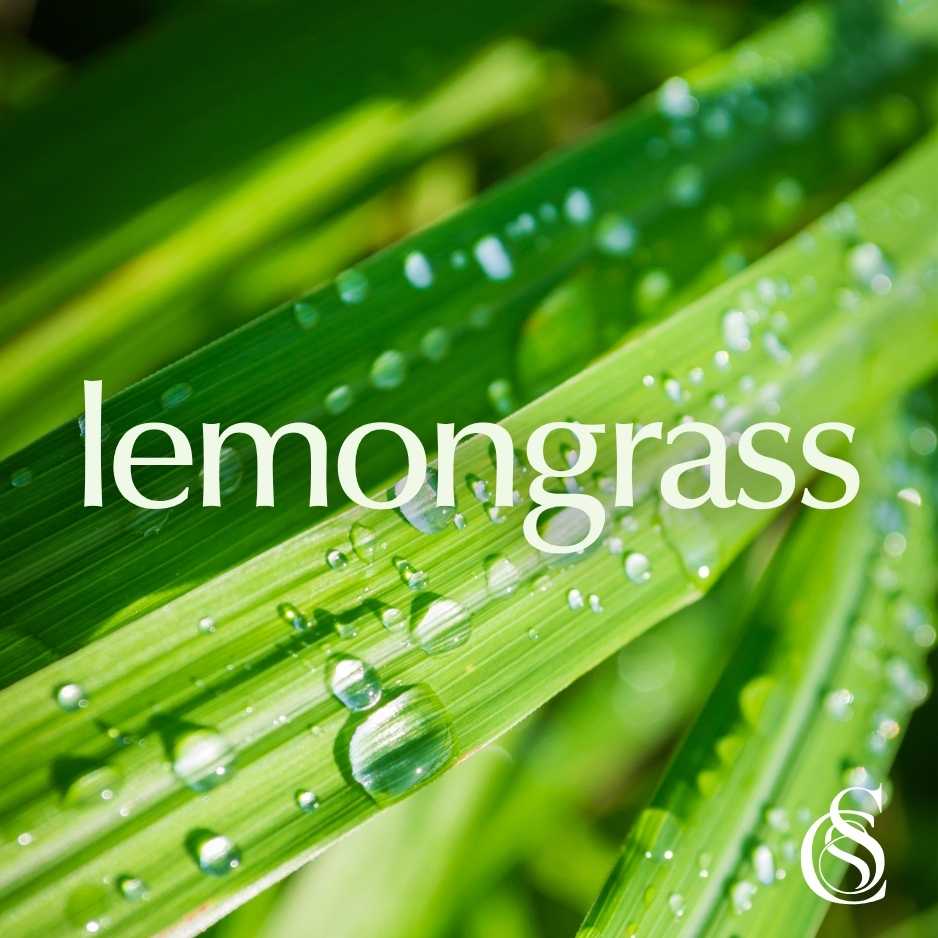 Lemongrass Fragrance Oil