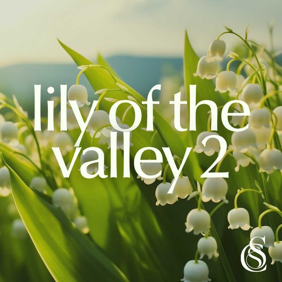 Lily Of The Valley Fragrance Oil Version 2