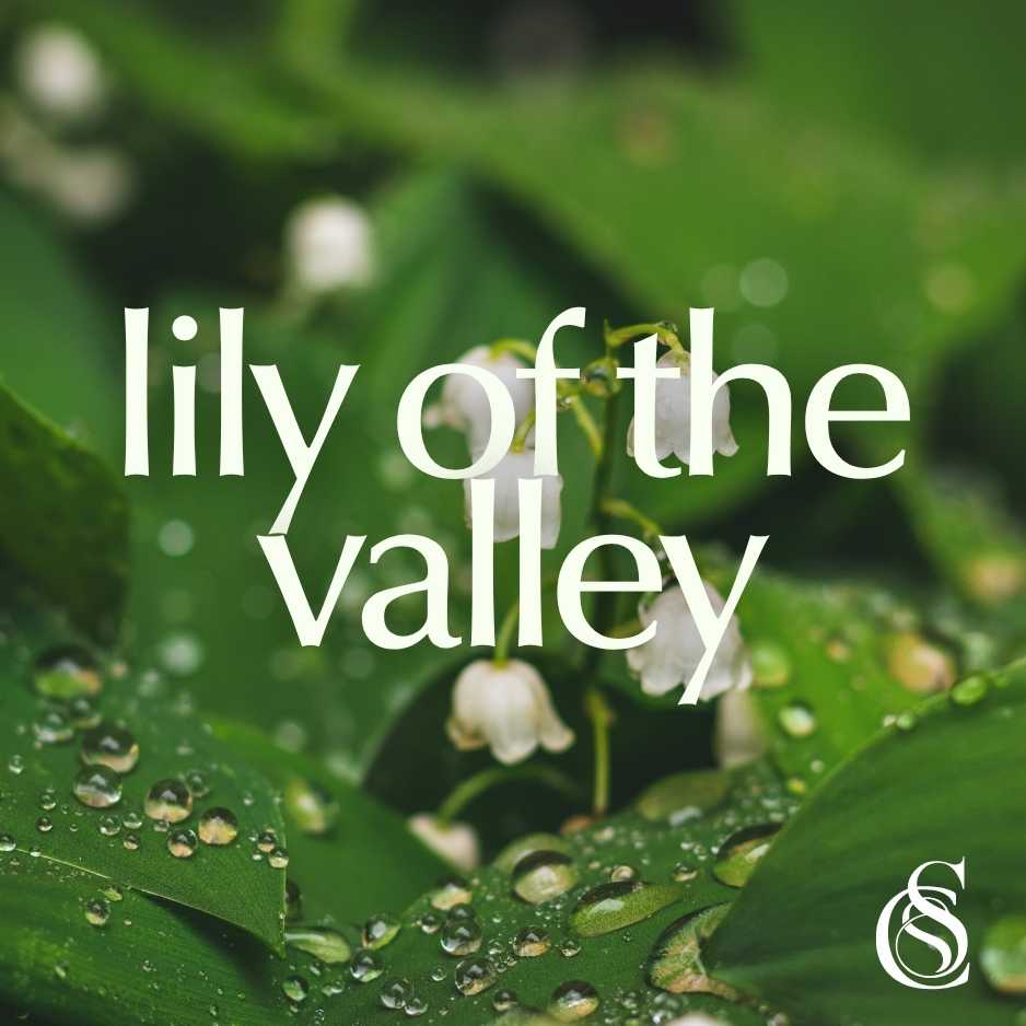 Lily Of The Valley Fragrance Oil