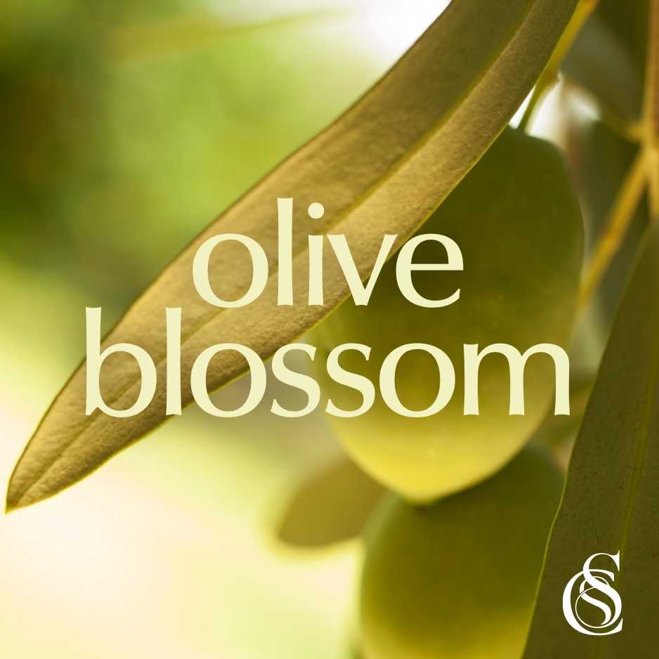 Olive Blossom Fragrance Oil