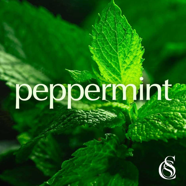 Peppermint Fragrance Oil