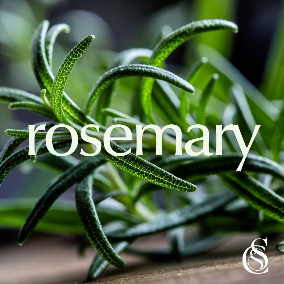 Rosemary Fragrance Oil