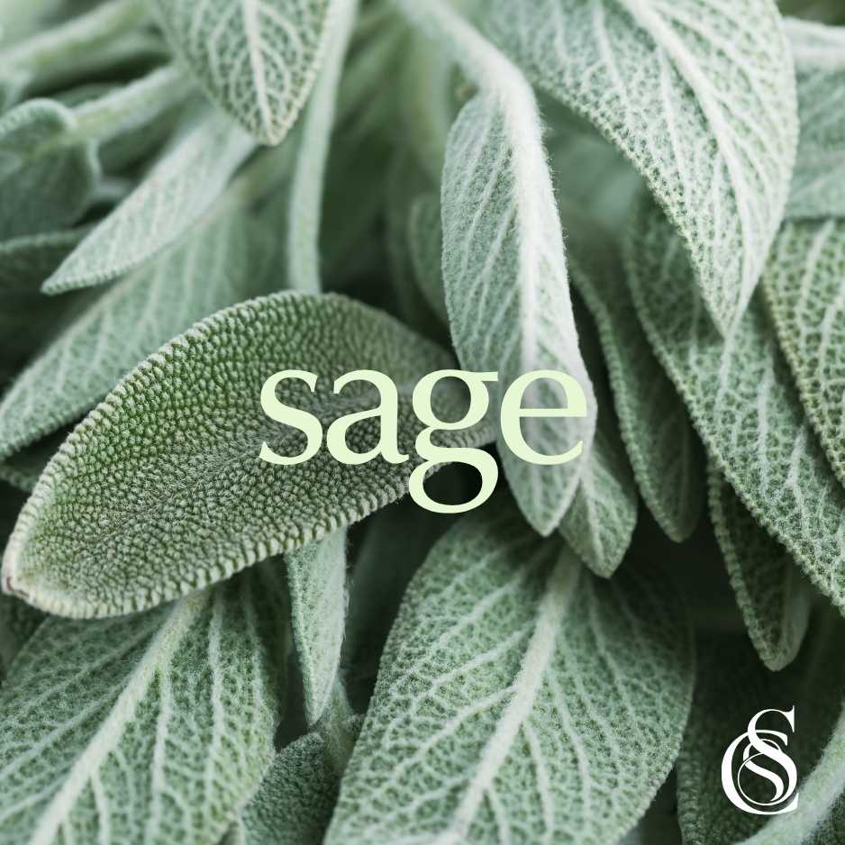 Sage Fragrance Oil