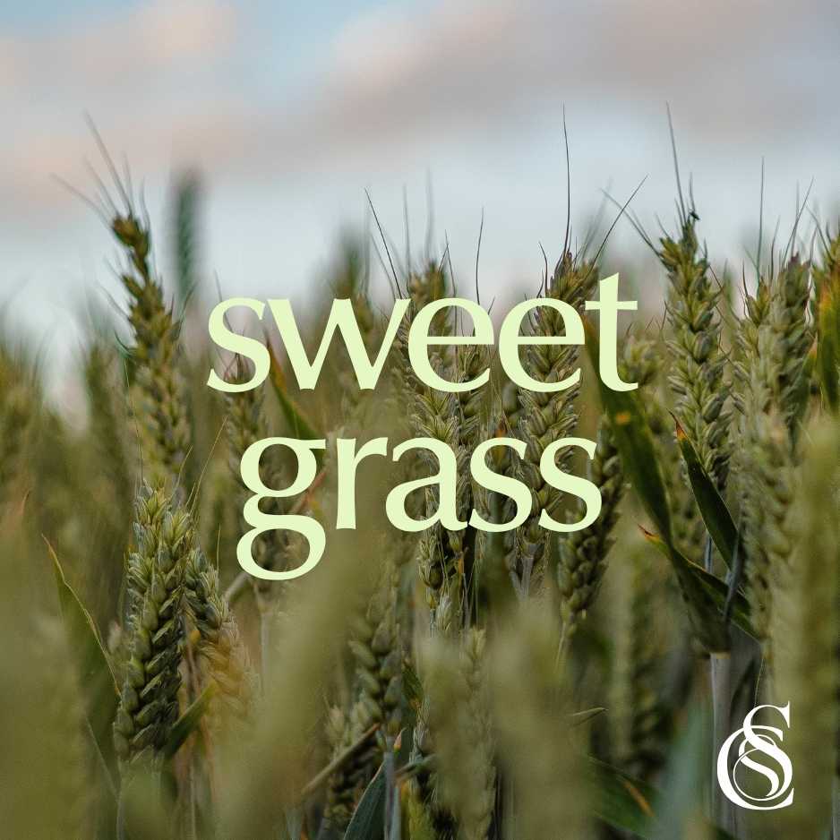 Sweet Grass Fragrance Oil