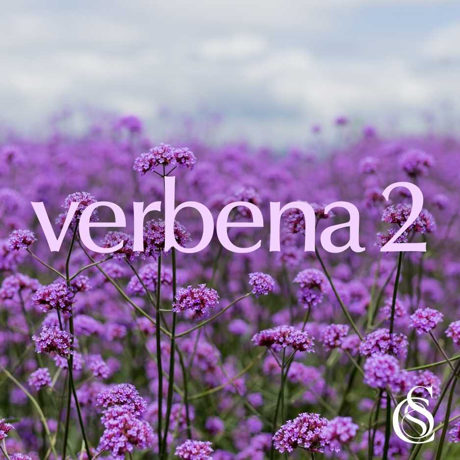 Verbena Fragrance Oil Version 2