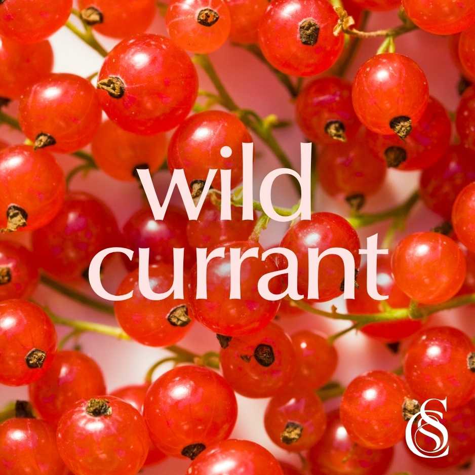 Wild Currant Fragrance Oil