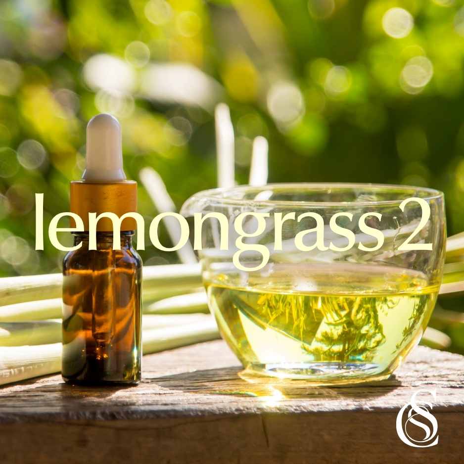 Lemongrass Fragrance Oil Version 2