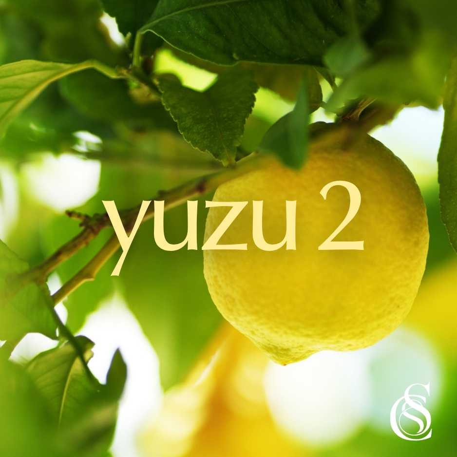 Yuzu Fragrance Oil Version 2