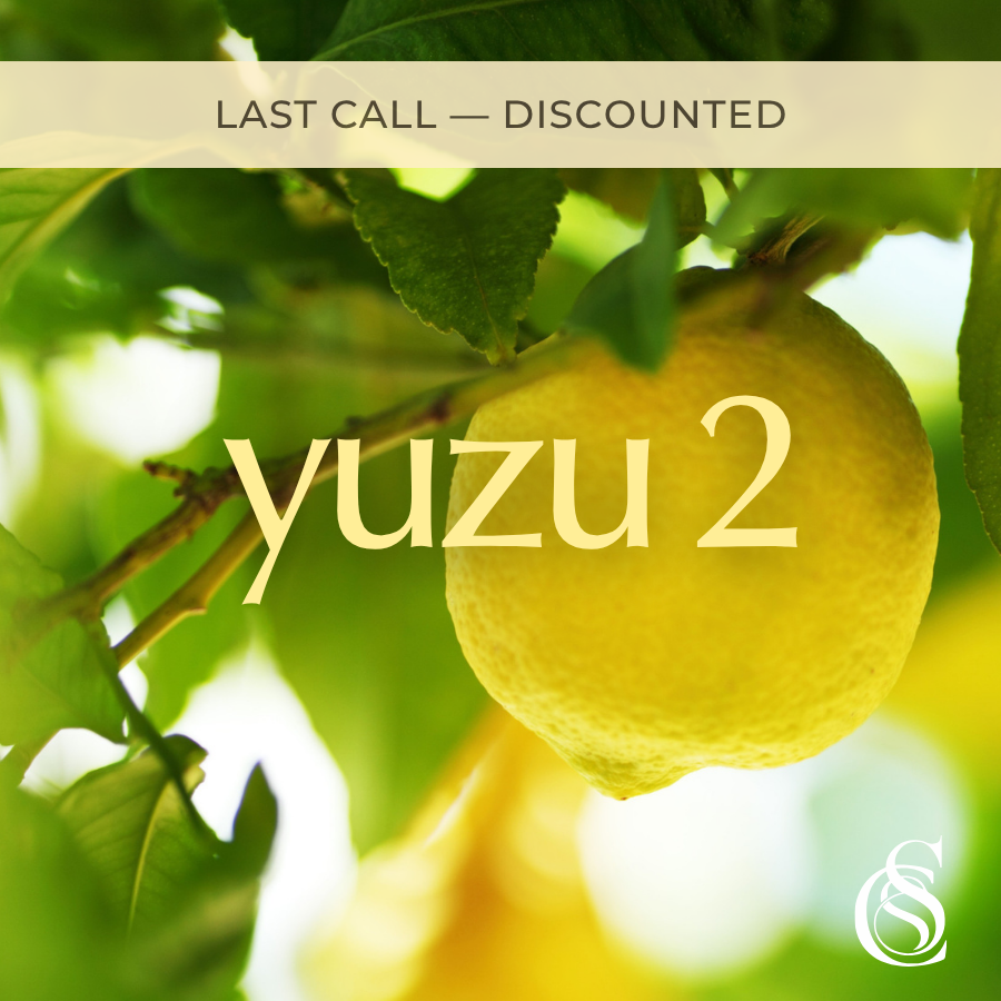 Yuzu Fragrance Oil Version 2